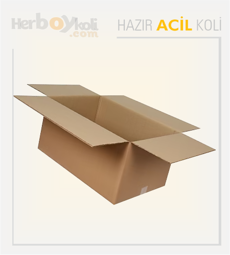 Acil koli, hızlı ve güvenilir taşıma hizmeti sağlayarak acil durumlarda gönderilerin hızlı bir şekilde paketlenip taşınmasını sağlayan bir hizmettir.