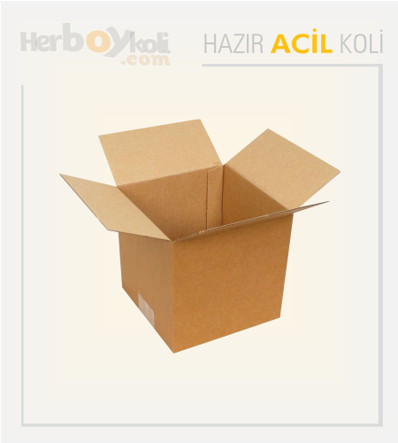 Acil koli, hızlı ve güvenilir taşıma hizmeti sağlayarak acil durumlarda gönderilerin hızlı bir şekilde paketlenip taşınmasını sağlayan bir hizmettir.