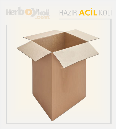 Acil koli, hızlı ve güvenilir taşıma hizmeti sağlayarak acil durumlarda gönderilerin hızlı bir şekilde paketlenip taşınmasını sağlayan bir hizmettir.