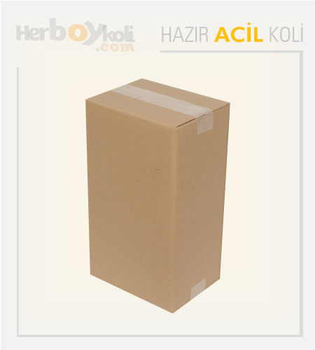 Acil koli, hızlı ve güvenilir taşıma hizmeti sağlayarak acil durumlarda gönderilerin hızlı bir şekilde paketlenip taşınmasını sağlayan bir hizmettir.