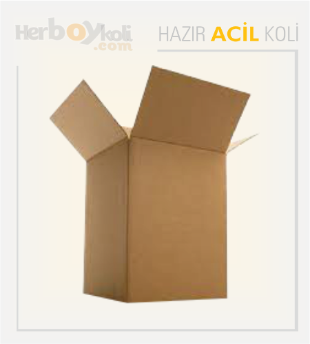 Acil koli, hızlı ve güvenilir taşıma hizmeti sağlayarak acil durumlarda gönderilerin hızlı bir şekilde paketlenip taşınmasını sağlayan bir hizmettir.