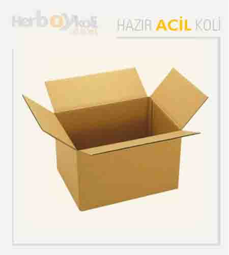 Acil koli, hızlı ve güvenilir taşıma hizmeti sağlayarak acil durumlarda gönderilerin hızlı bir şekilde paketlenip taşınmasını sağlayan bir hizmettir.