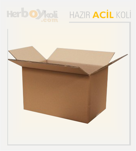 Acil koli, hızlı ve güvenilir taşıma hizmeti sağlayarak acil durumlarda gönderilerin hızlı bir şekilde paketlenip taşınmasını sağlayan bir hizmettir.