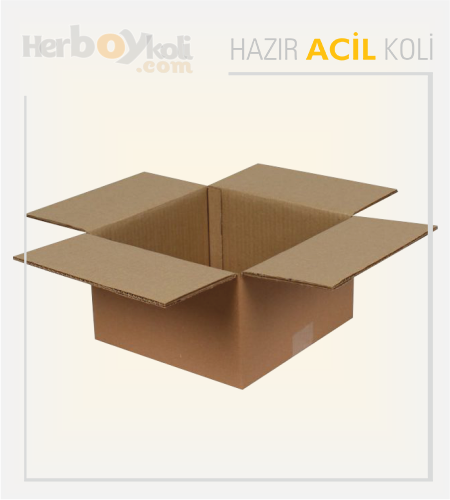 Acil koli, hızlı ve güvenilir taşıma hizmeti sağlayarak acil durumlarda gönderilerin hızlı bir şekilde paketlenip taşınmasını sağlayan bir hizmettir.