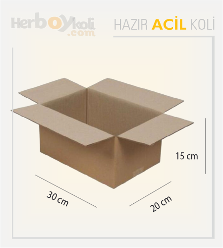 Acil koli, hızlı ve güvenilir taşıma hizmeti sağlayarak acil durumlarda gönderilerin hızlı bir şekilde paketlenip taşınmasını sağlayan bir hizmettir.