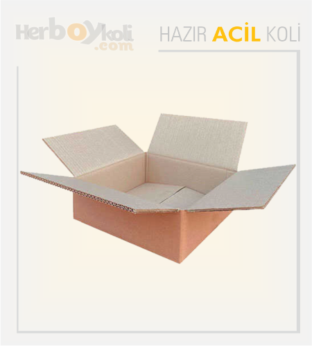 Acil koli, hızlı ve güvenilir taşıma hizmeti sağlayarak acil durumlarda gönderilerin hızlı bir şekilde paketlenip taşınmasını sağlayan bir hizmettir.