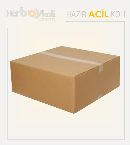 Acil koli, hızlı ve güvenilir taşıma hizmeti sağlayarak acil durumlarda gönderilerin hızlı bir şekilde paketlenip taşınmasını sağlayan bir hizmettir.