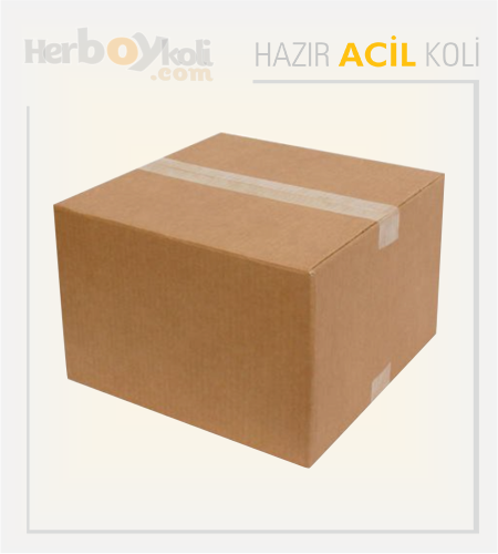 Acil koli, hızlı ve güvenilir taşıma hizmeti sağlayarak acil durumlarda gönderilerin hızlı bir şekilde paketlenip taşınmasını sağlayan bir hizmettir.