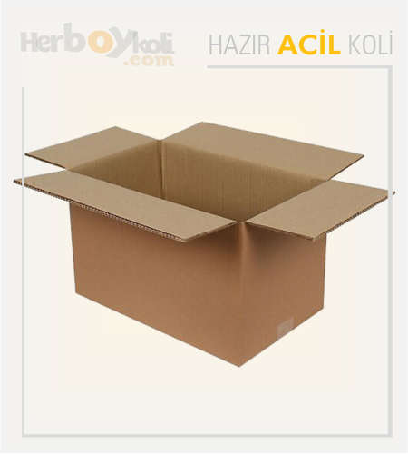 Acil koli, hızlı ve güvenilir taşıma hizmeti sağlayarak acil durumlarda gönderilerin hızlı bir şekilde paketlenip taşınmasını sağlayan bir hizmettir.