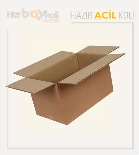 Acil koli, hızlı ve güvenilir taşıma hizmeti sağlayarak acil durumlarda gönderilerin hızlı bir şekilde paketlenip taşınmasını sağlayan bir hizmettir.