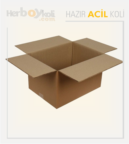 Acil koli, hızlı ve güvenilir taşıma hizmeti sağlayarak acil durumlarda gönderilerin hızlı bir şekilde paketlenip taşınmasını sağlayan bir hizmettir.