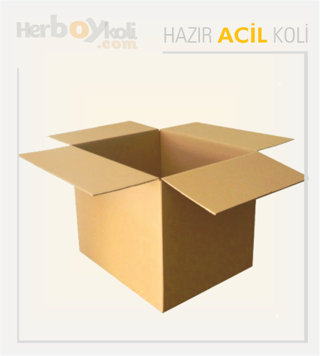 Acil koli, hızlı ve güvenilir taşıma hizmeti sağlayarak acil durumlarda gönderilerin hızlı bir şekilde paketlenip taşınmasını sağlayan bir hizmettir.