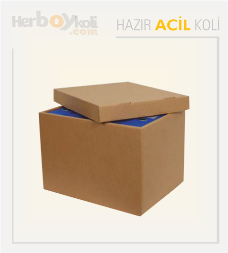 Acil koli, hızlı ve güvenilir taşıma hizmeti sağlayarak acil durumlarda gönderilerin hızlı bir şekilde paketlenip taşınmasını sağlayan bir hizmettir.