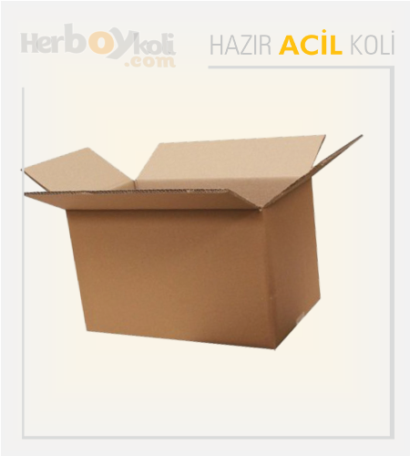 Acil koli, hızlı ve güvenilir taşıma hizmeti sağlayarak acil durumlarda gönderilerin hızlı bir şekilde paketlenip taşınmasını sağlayan bir hizmettir.