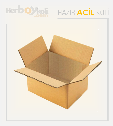 Acil koli, hızlı ve güvenilir taşıma hizmeti sağlayarak acil durumlarda gönderilerin hızlı bir şekilde paketlenip taşınmasını sağlayan bir hizmettir.