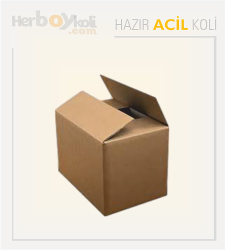 Acil koli, hızlı ve güvenilir taşıma hizmeti sağlayarak acil durumlarda gönderilerin hızlı bir şekilde paketlenip taşınmasını sağlayan bir hizmettir.