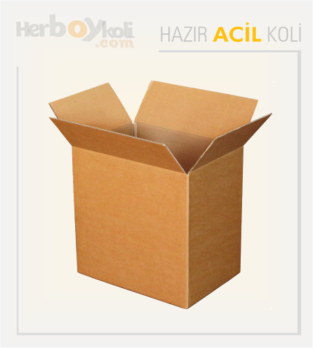 Acil koli, hızlı ve güvenilir taşıma hizmeti sağlayarak acil durumlarda gönderilerin hızlı bir şekilde paketlenip taşınmasını sağlayan bir hizmettir.