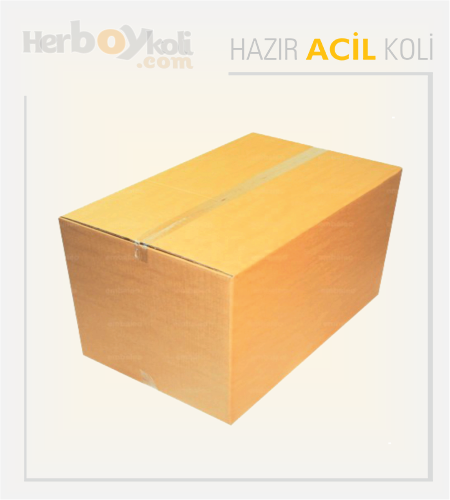 Acil koli, hızlı ve güvenilir taşıma hizmeti sağlayarak acil durumlarda gönderilerin hızlı bir şekilde paketlenip taşınmasını sağlayan bir hizmettir.